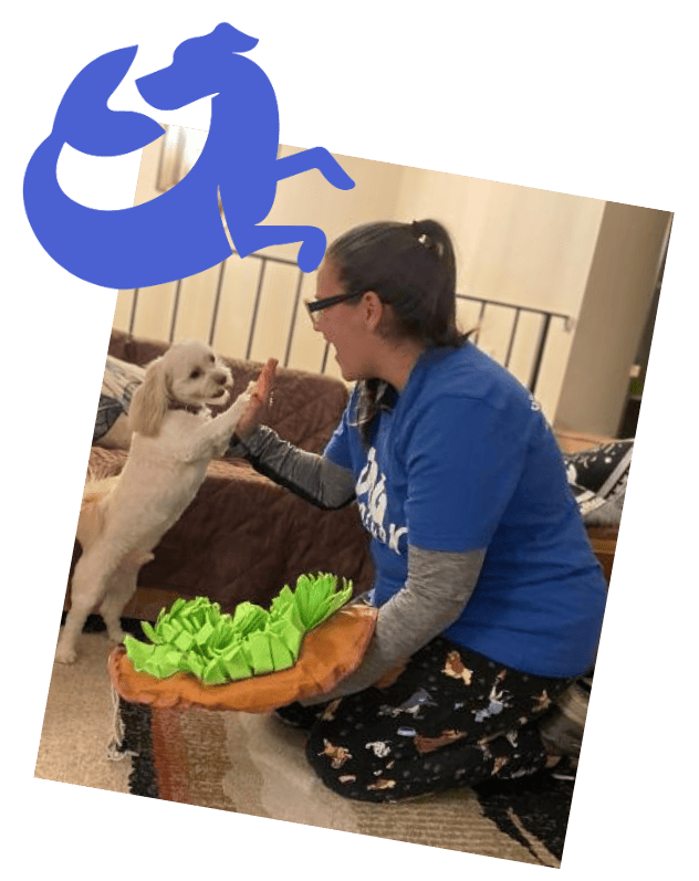 dog walking in west islip long island