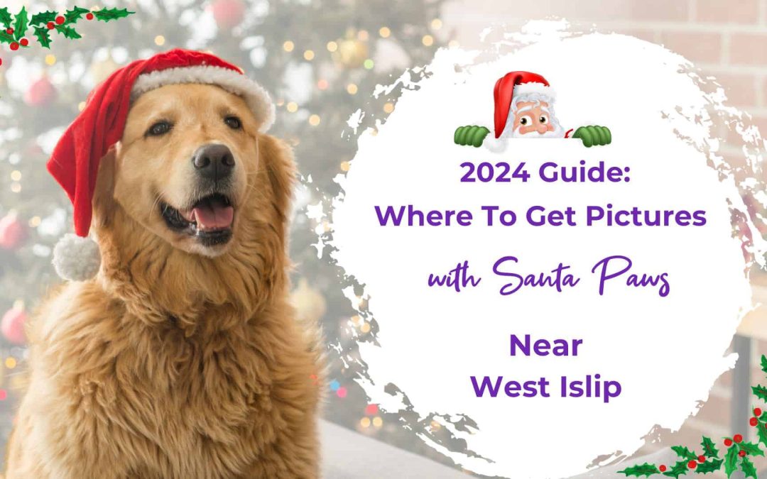 Where to find Santa Paws near West Islip this Holiday Season, 2024
